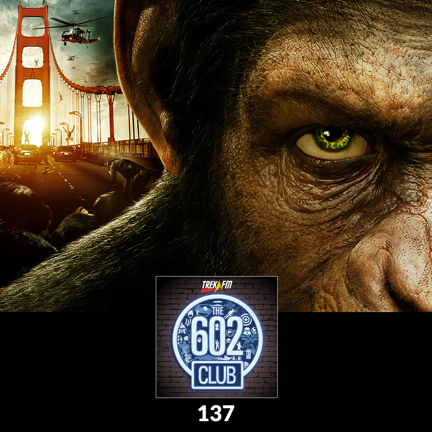 audio-thumbnail